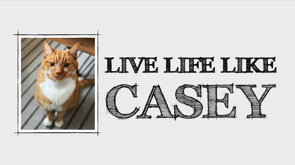Live Life Like Casey